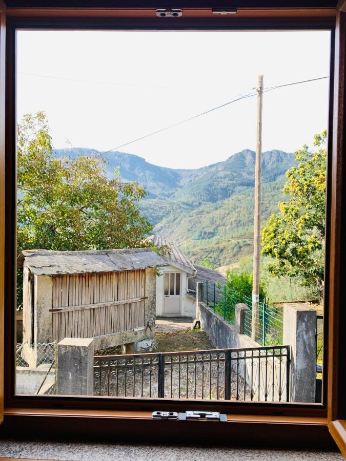 "Casa Do Avo Armindo" Mountain Experience Villa Vila Real Exterior photo